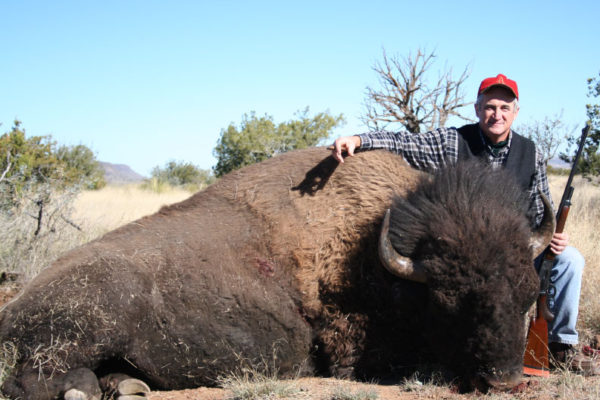 Big-Game-Buffalo-Bison-West-Texas-Hunting-at-CF-Ranch-Alpine-Picture-273