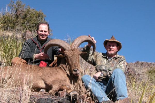 CF-Ranch-West-Texas-Aoudad-Barbary-Sheep-Hunting-Alpine-Polo-Pictures-123