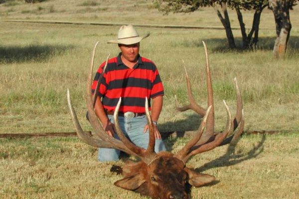 CF-Ranch-West-Texas-Elk-Hunting-Alpine-0311590-R1-023-10