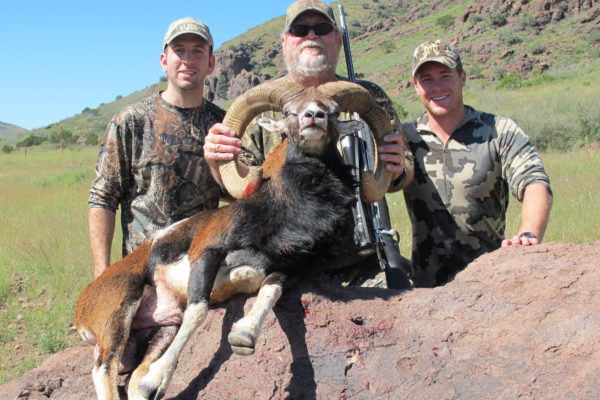 cfranch-mouflon-2014-19